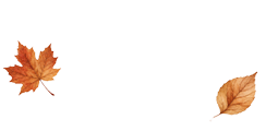 فصل کالکشن