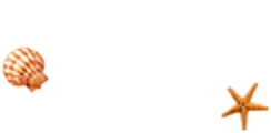 فصل کالکشن